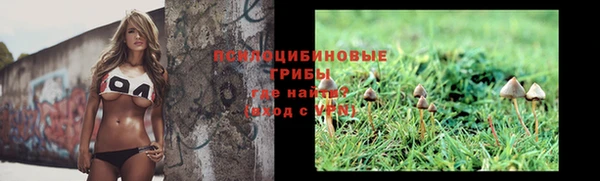 хмурый Алексин