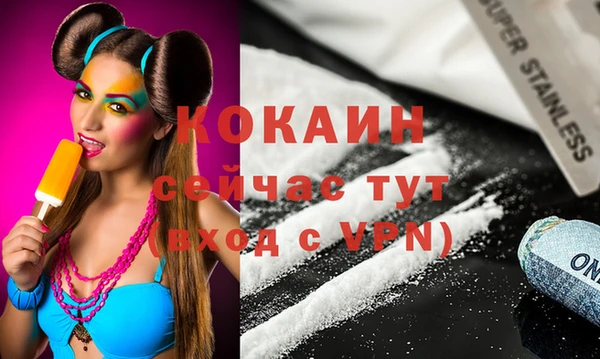 хмурый Алексин
