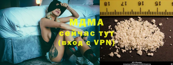 хмурый Алексин