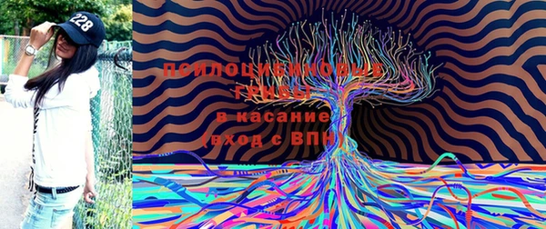 дурь Алзамай