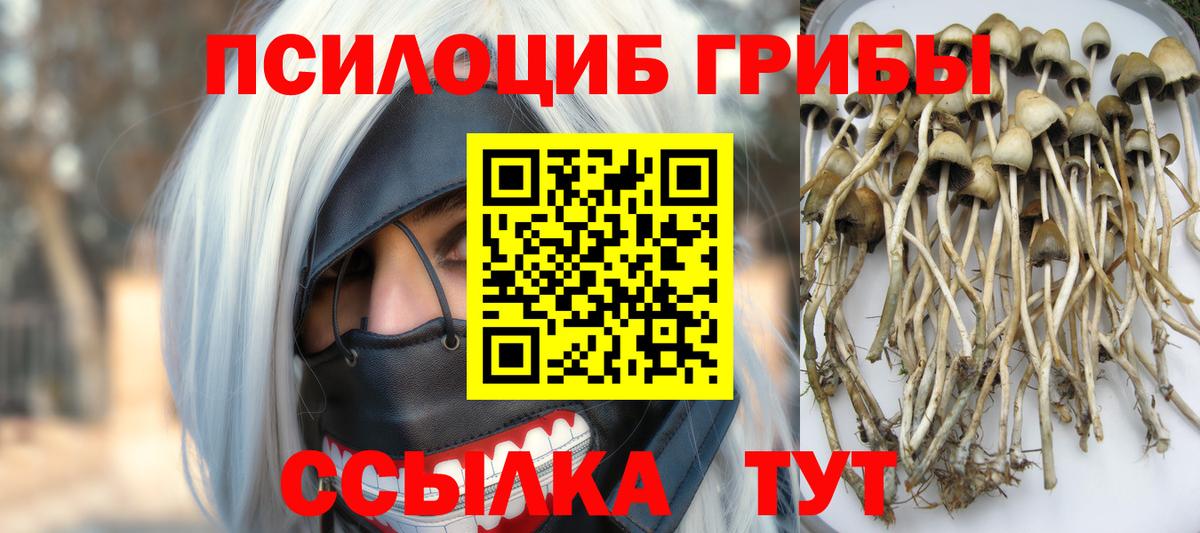 Галлюциногенные грибы GOLDEN TEACHER  Вход с VPN  Астрахань 